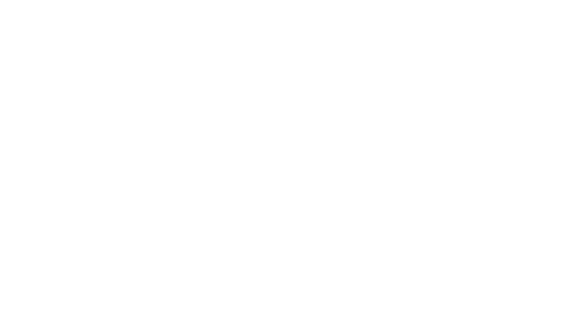 Logo SERVITUR - Associação de Guias e Prestadores de Serviços em Ecoturismo na Chapada dos Veadeiros.